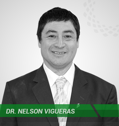 Nelson Vigueras